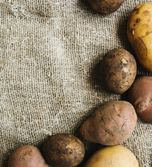 Close-up of fresh organic potatoes on rustic burlap fabric, showcasing texture and nutrition.